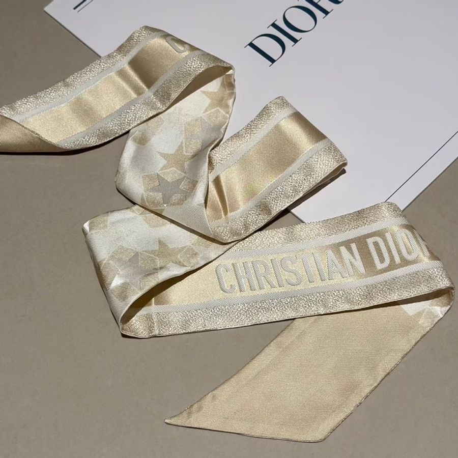 Dior 絲巾-3