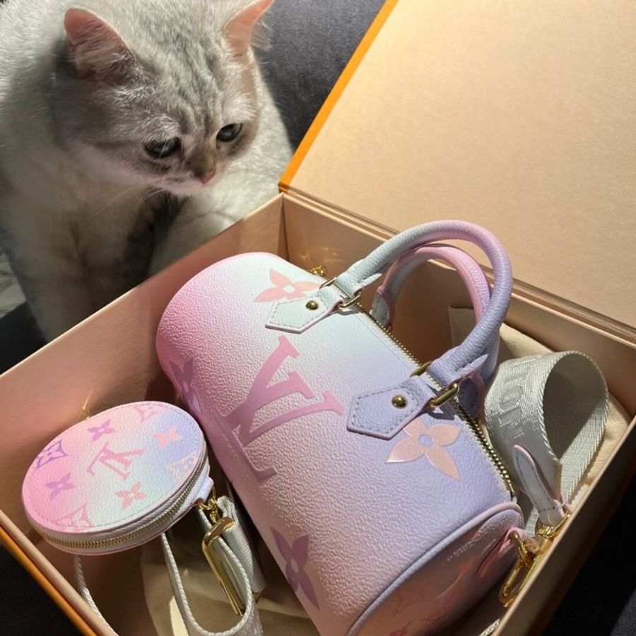 全新 未拆 Louis Vuitton M46078 LV PAPILLON BB 側背包-2