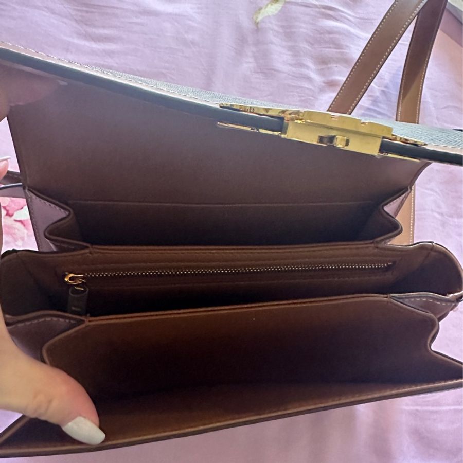 CELINE TRIOMPHE 經典標誌印花牛皮革手袋-3