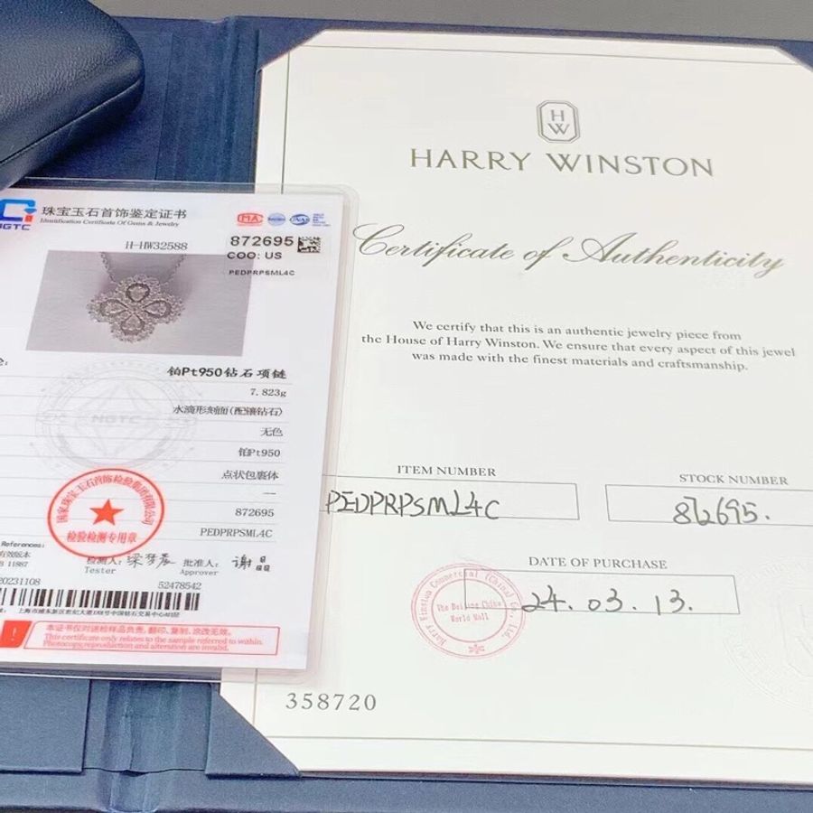 Harry Winston海瑞溫斯頓loop小號白金滿鑽項鍊2024年購入-6