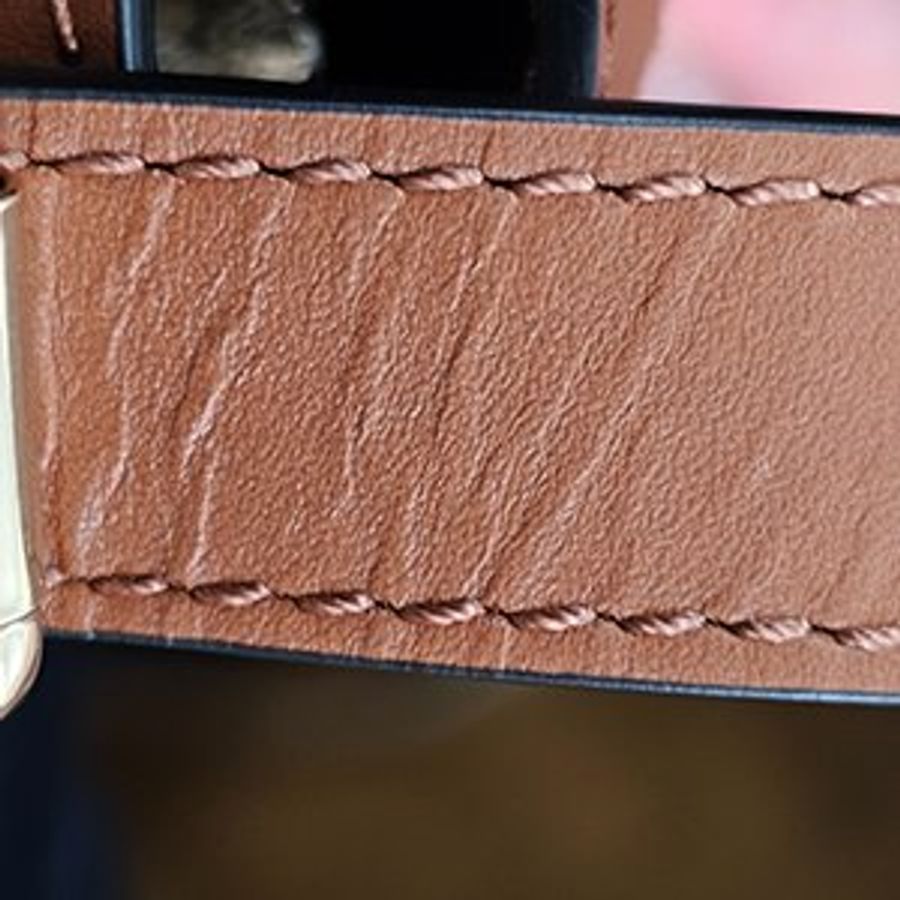 LONGCHAMP 焦糖色牛皮拼帆布 BOX-TROT 系列 金屬 LOGO 斜背包-8