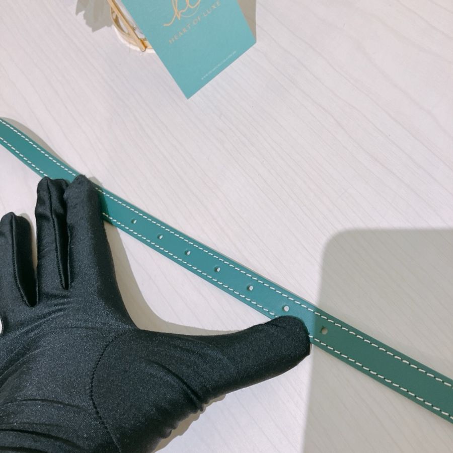 GOYARD 戈雅小號相機包包CAP VERT PM BAG CANVAS-10