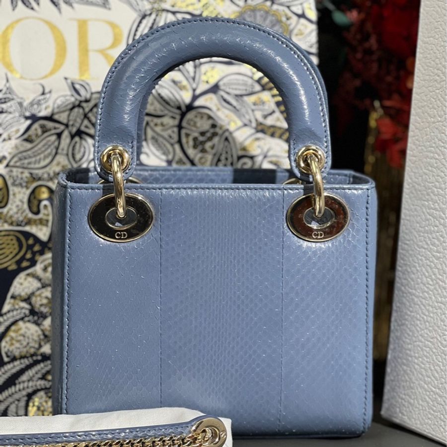 Dior 迪奧三格迷霧藍蛇皮戴妃包金扣 2020年購入-3