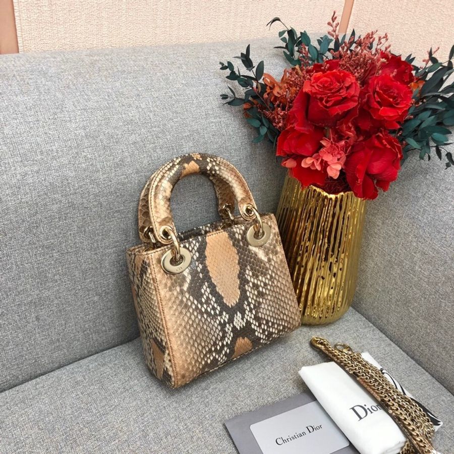 Dior 迪奧 三格蟒蛇皮戴妃包金扣,2020年購入-2