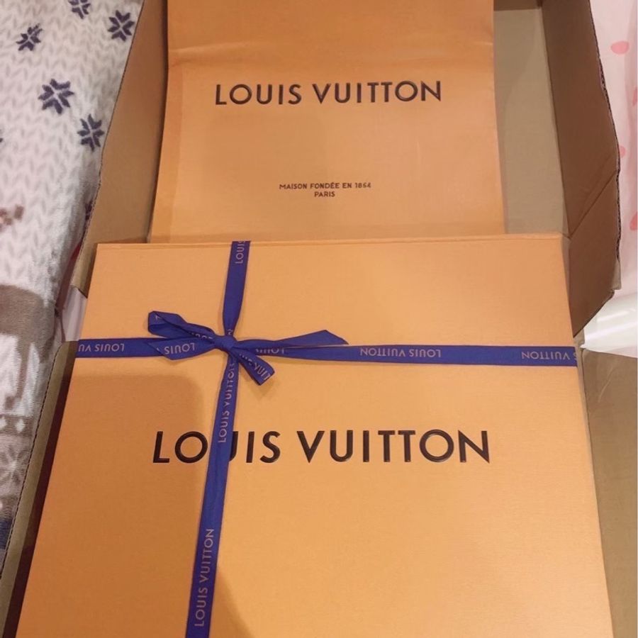 LV 路易威登 SPEEDY 25 手袋 (配肩帶)枕頭包 肩背包 手提包 斜挎包 現貨 單肩包 M41113-3
