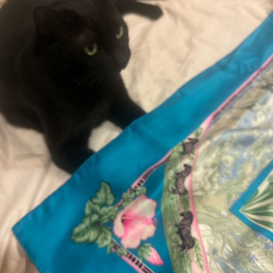 二手VINTAGE HERMES SILK SCARF "TROPIQUES"-4