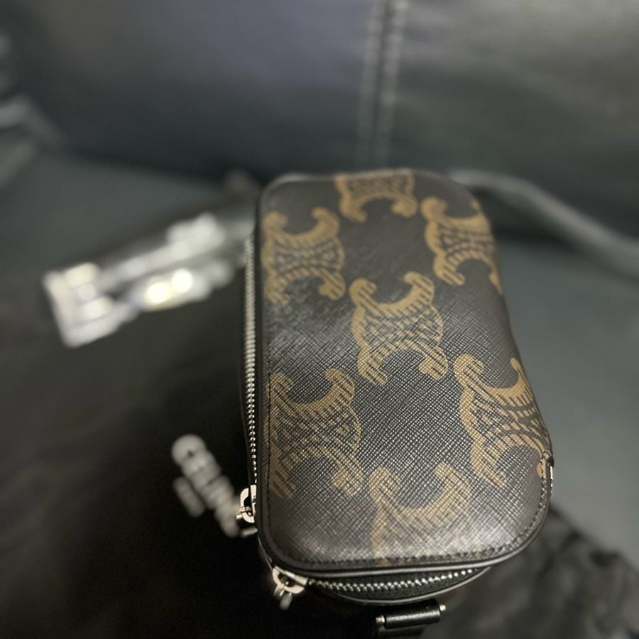 CELINE Triomphe Vanity Crossbody Bag-3