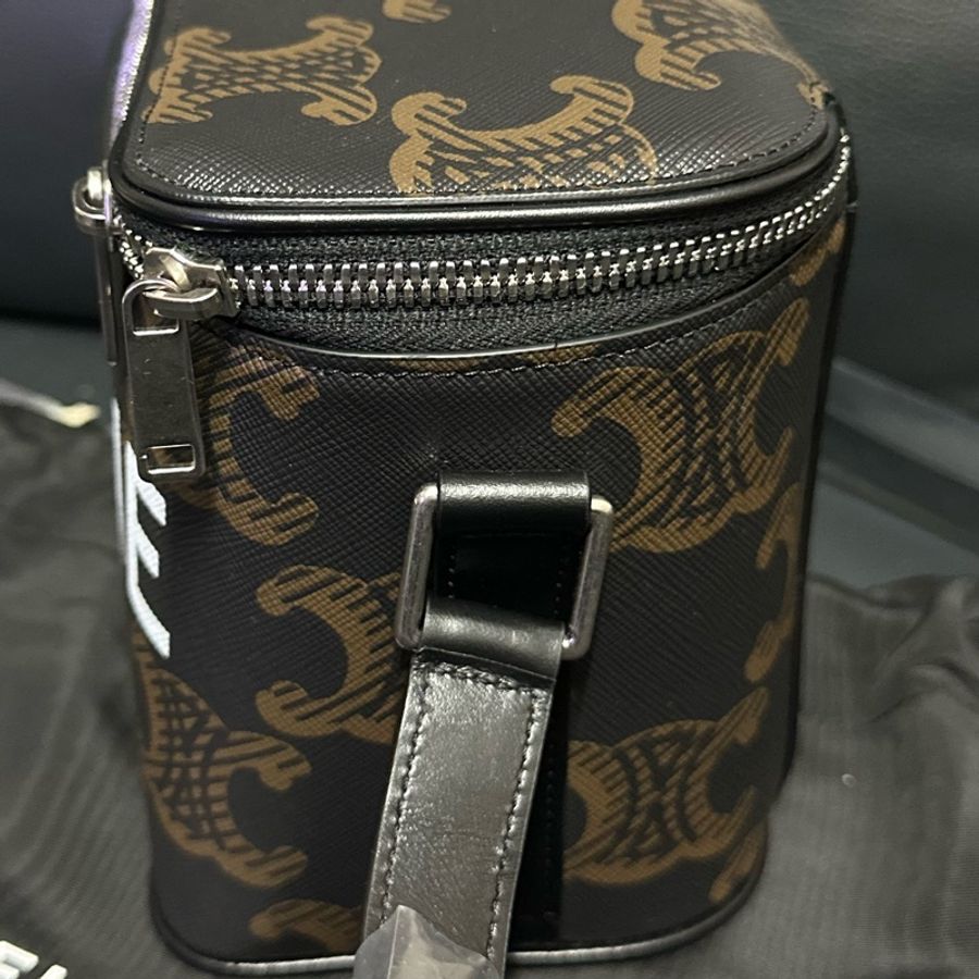 CELINE Triomphe Vanity Crossbody Bag-13