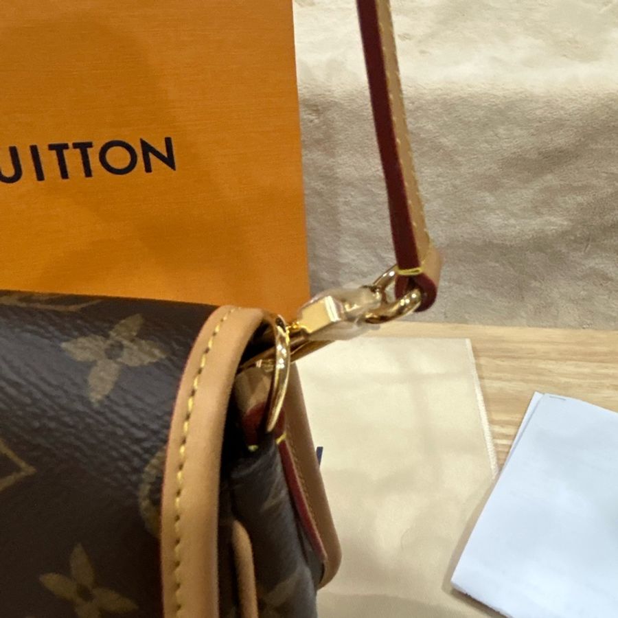 全新 全配 晶片款 Louisviitton diane monogram 法棍包-9