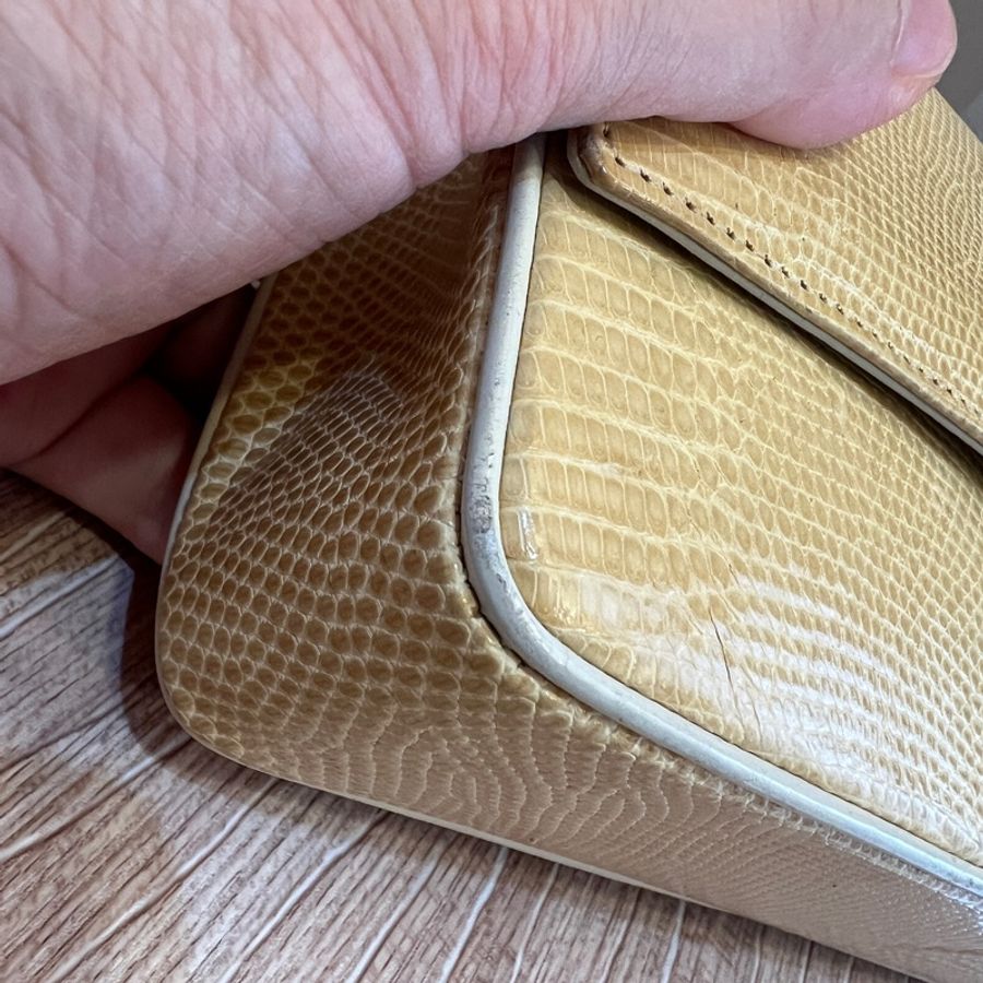 香奈兒Chanel 絕版蜥蜴皮大Logo-14