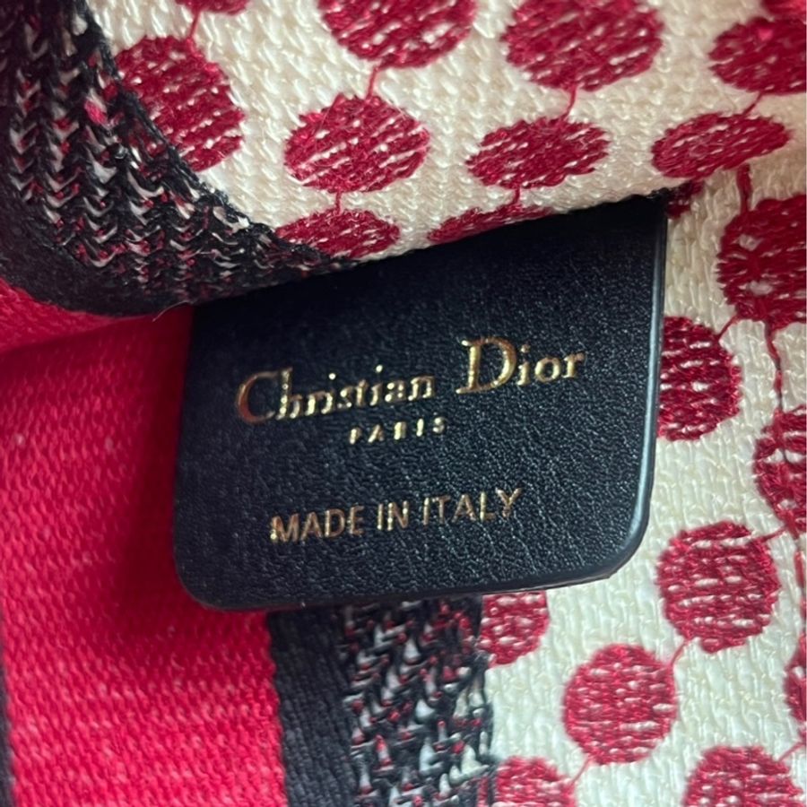 Dior 帆布印花mini tote 托特包-6