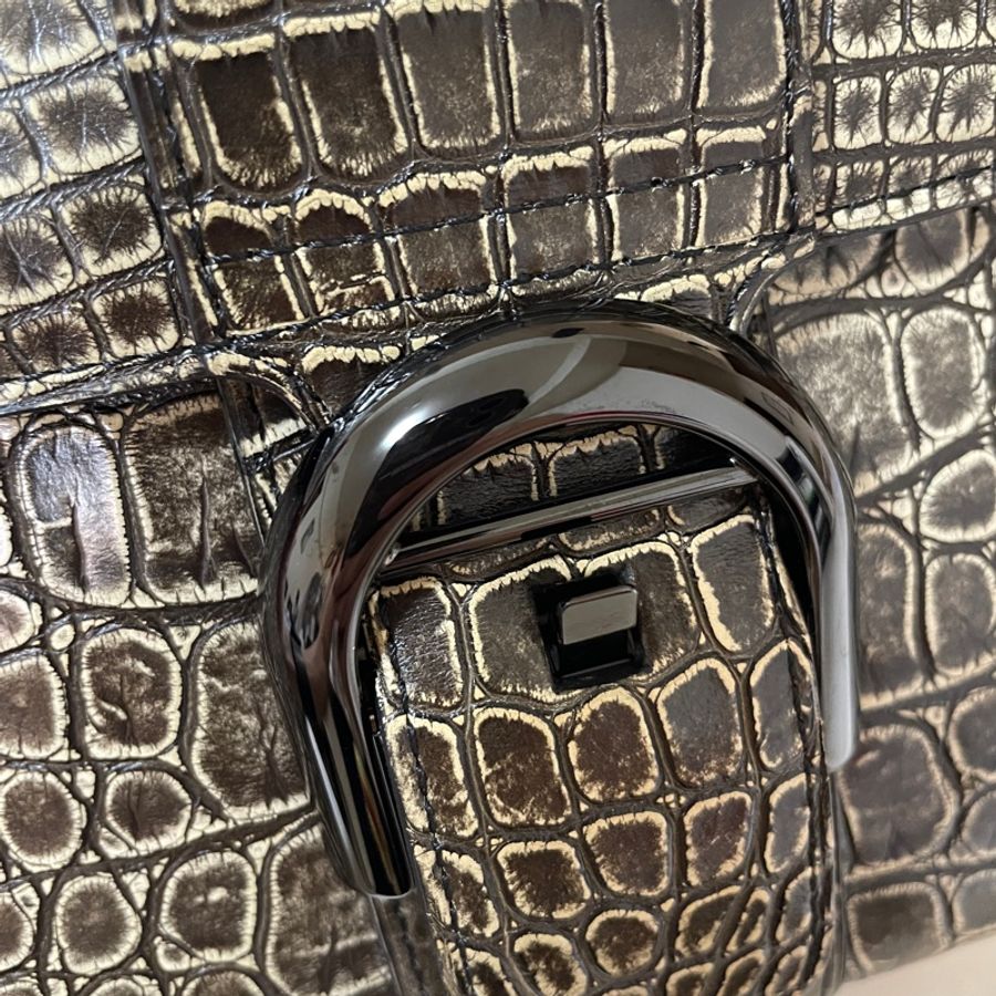 ～Delvaux Brillant Mini 限量款鱷魚皮兩用包-9