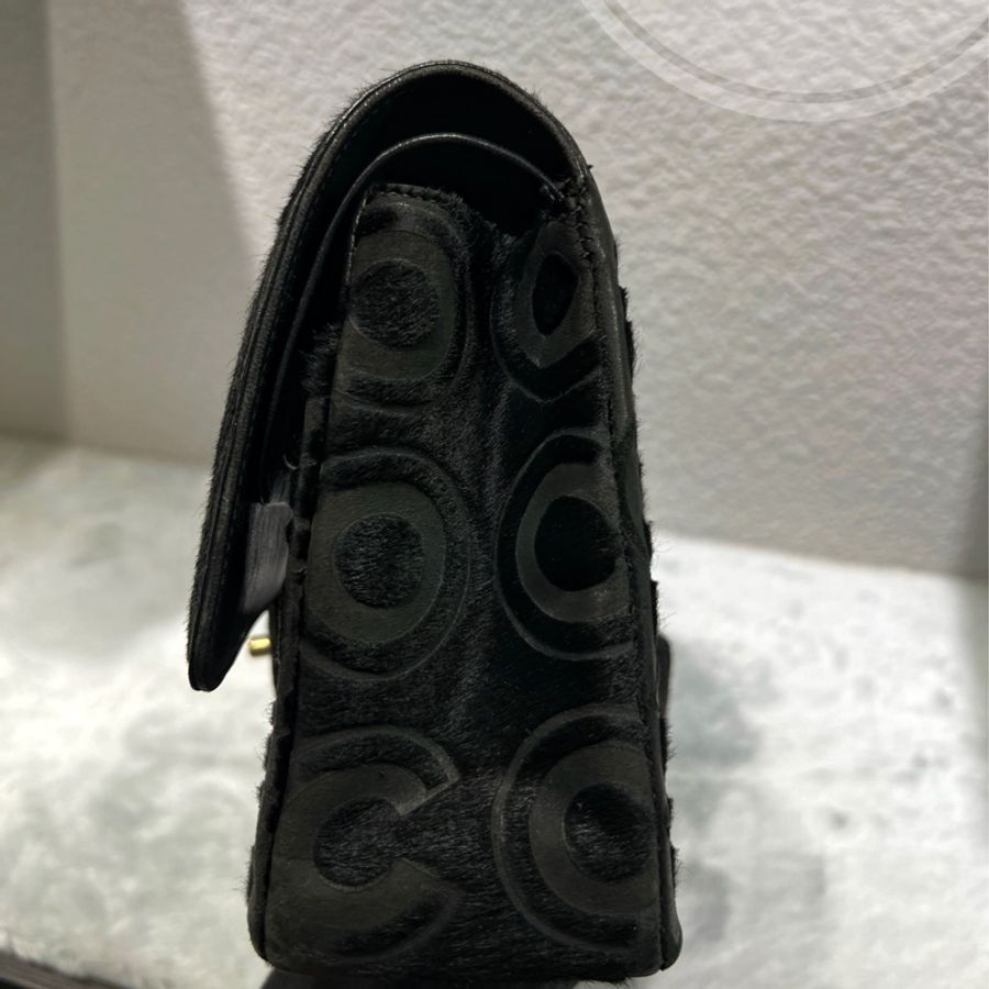 ► Chanel 馬毛CF 26cm-6
