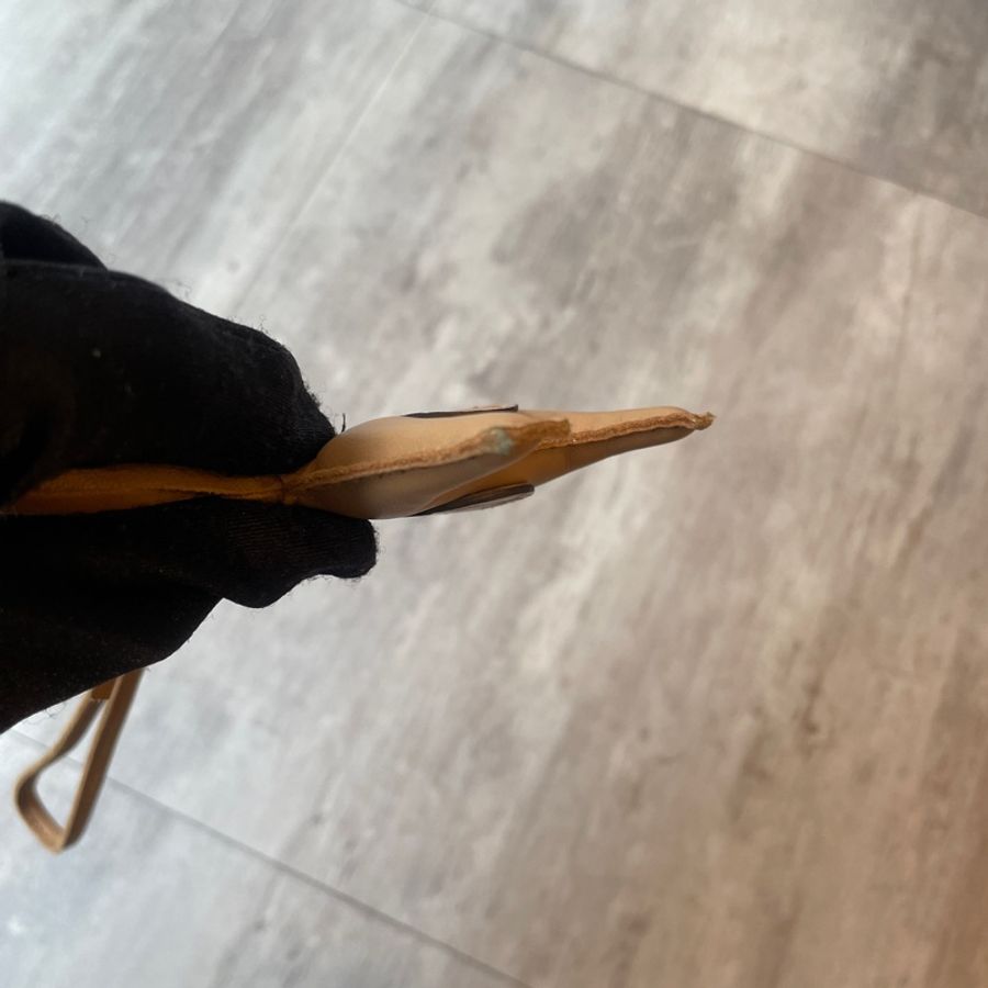 Hermes奶茶色鱷魚皮翅膀小飛馬-8