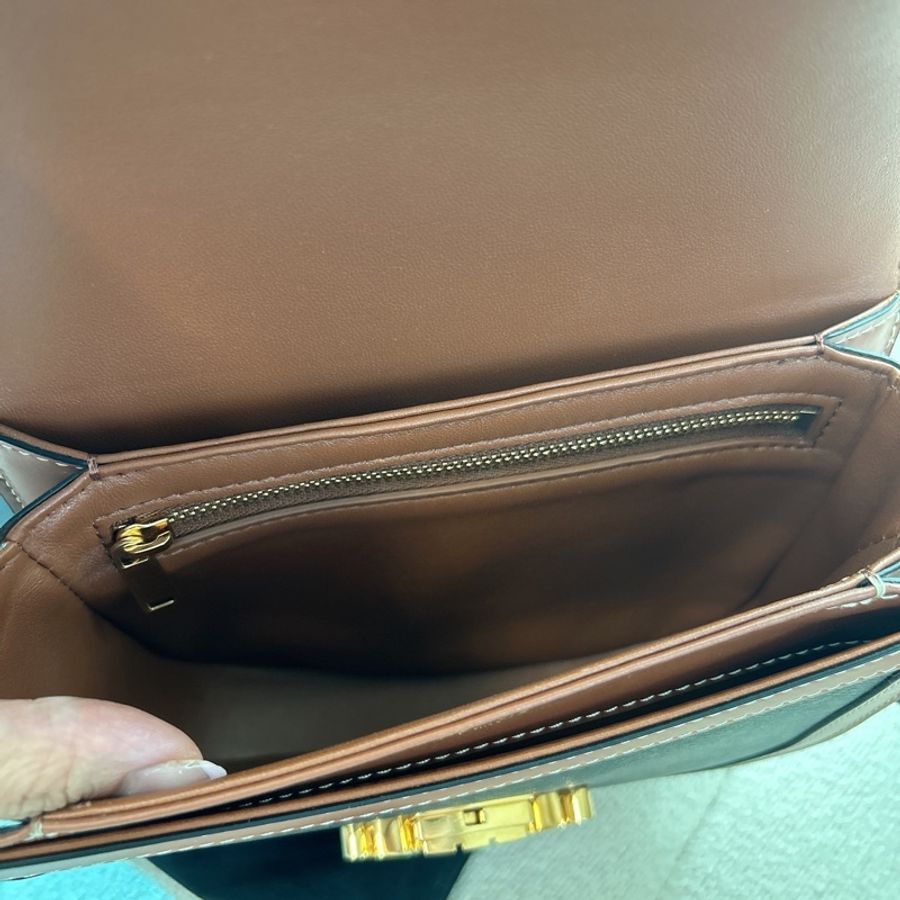 Celine Triomphe Teen Besace With Border (Tan color)-2