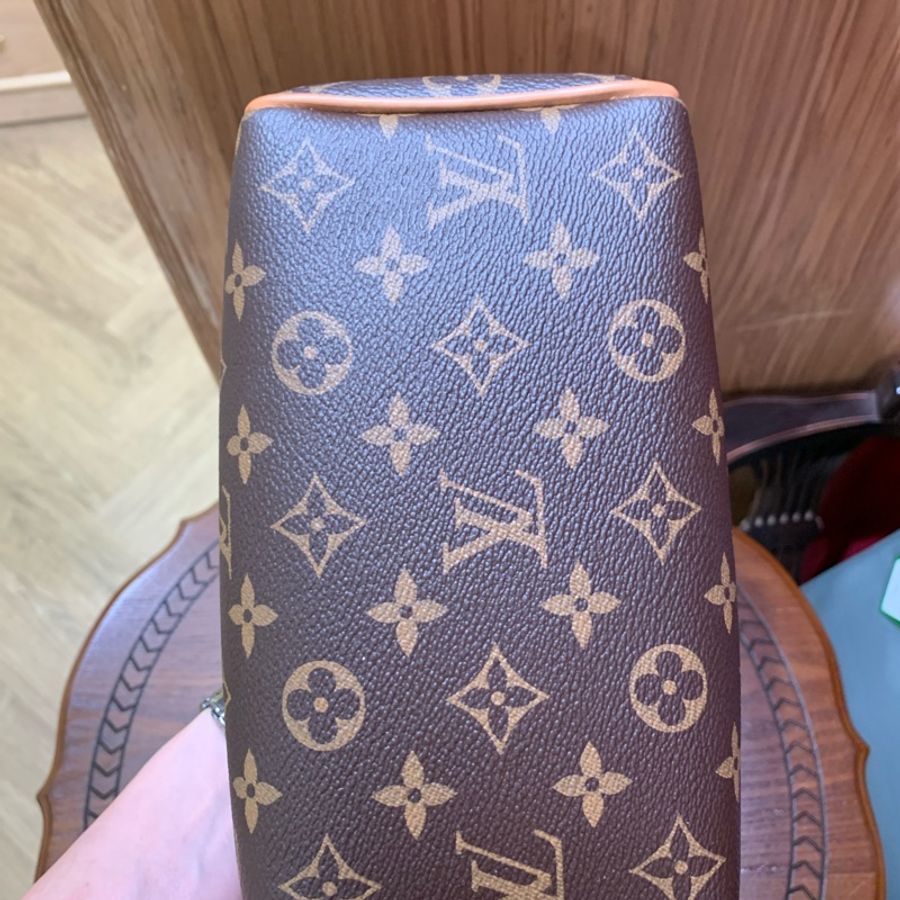 Louis VUITTON speedy 20老花配寛肩帶芯片款-3