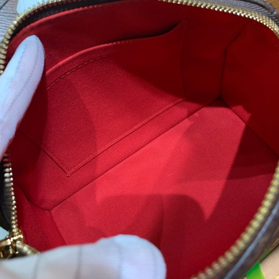 Louis VUITTON speedy 20老花配寛肩帶芯片款-4