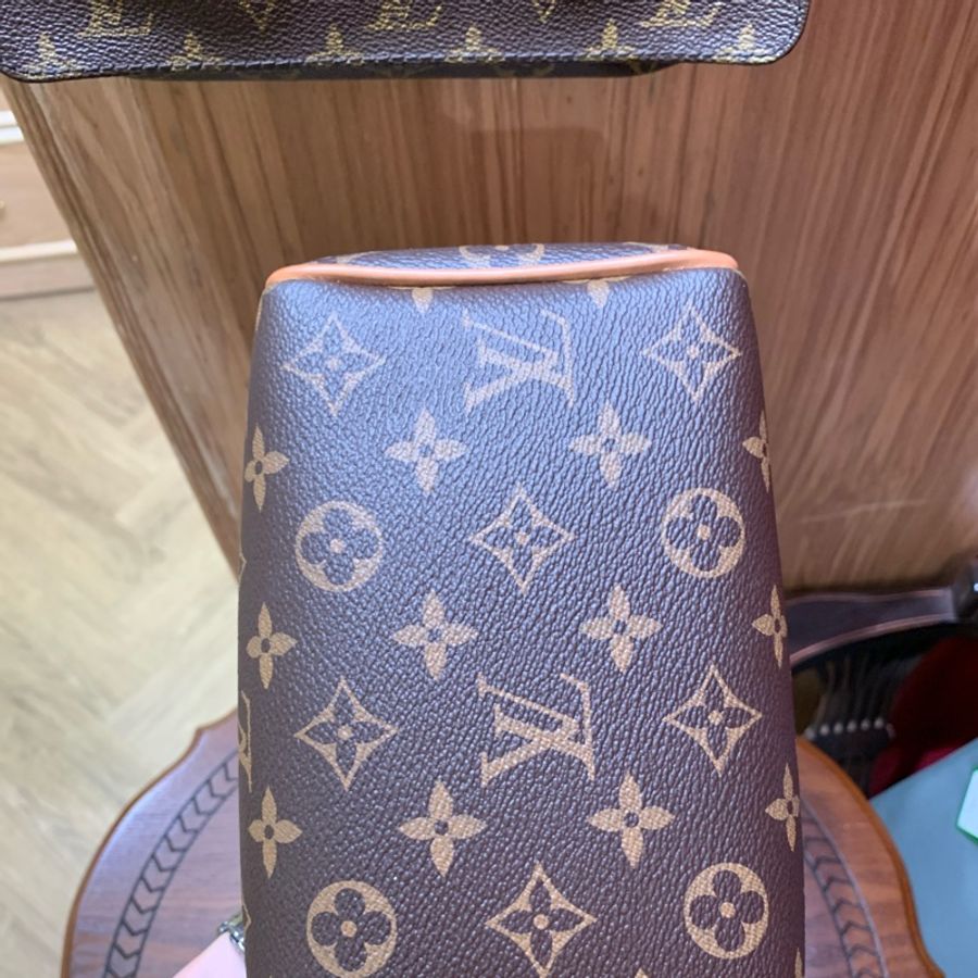 Louis VUITTON speedy 20老花配寛肩帶芯片款-7