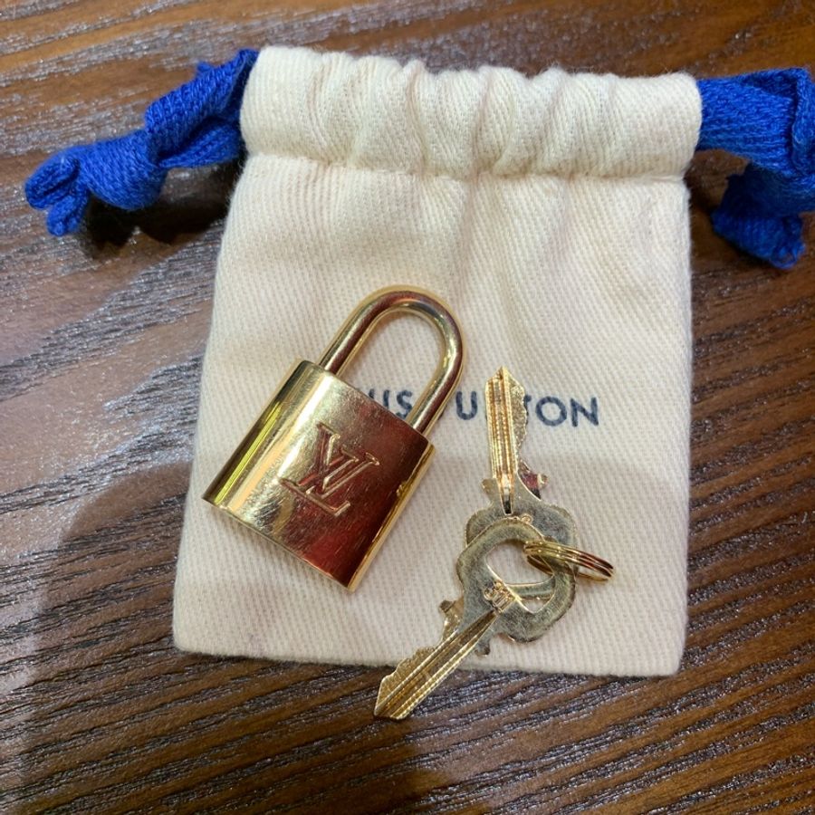 Louis VUITTON speedy 20老花配寛肩帶芯片款-13