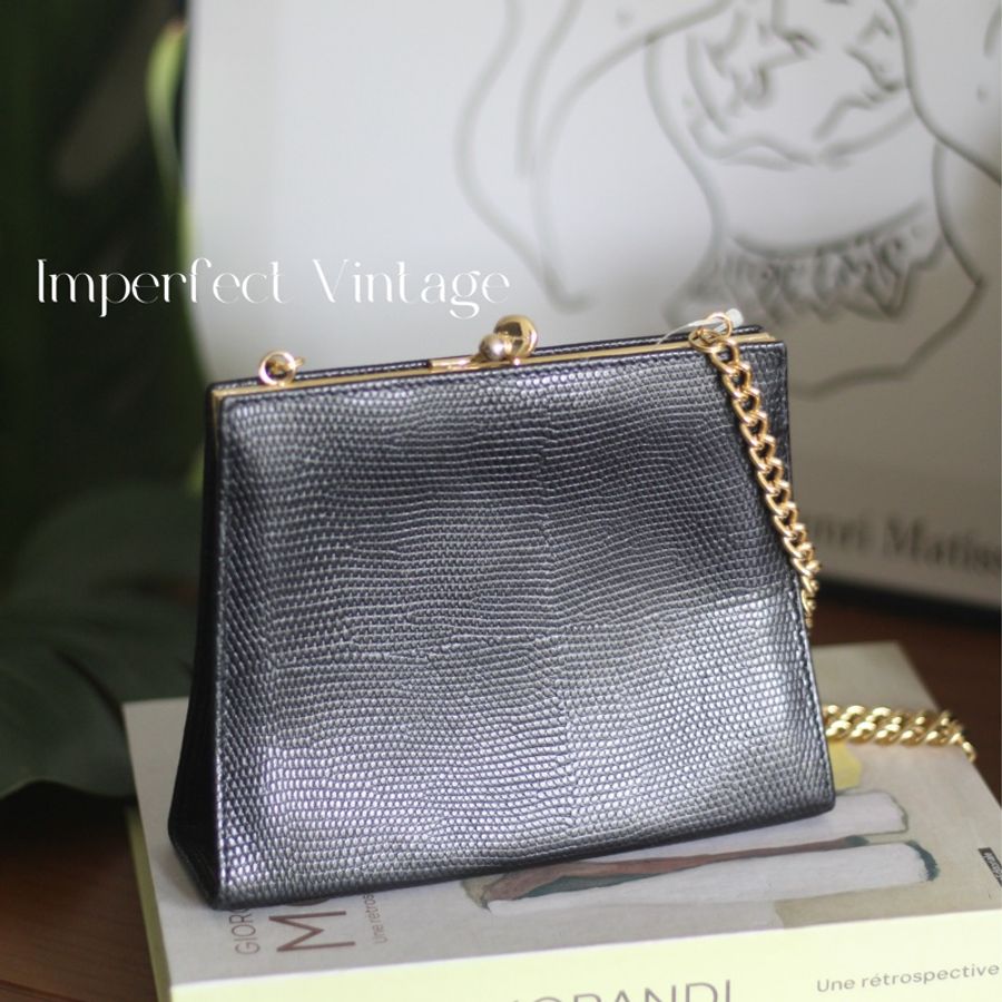 Ferragamo蜥蜴皮口金包-5