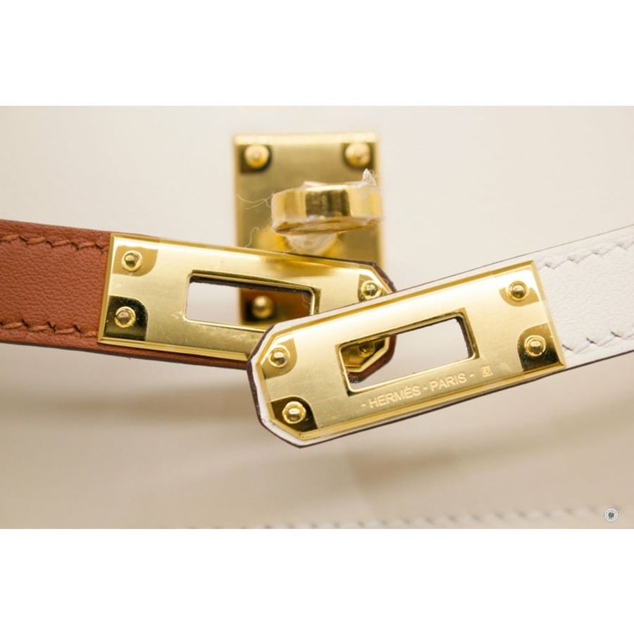 Hermes H083583CC Kelly 25 Colormatic Chromatic Bag Nata/chai/cuivre/lime/mauve Swift Shoulder Bags Ghw-5