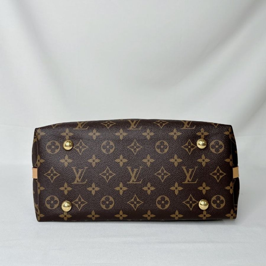 LV CarryAll PM老花肩背包-11