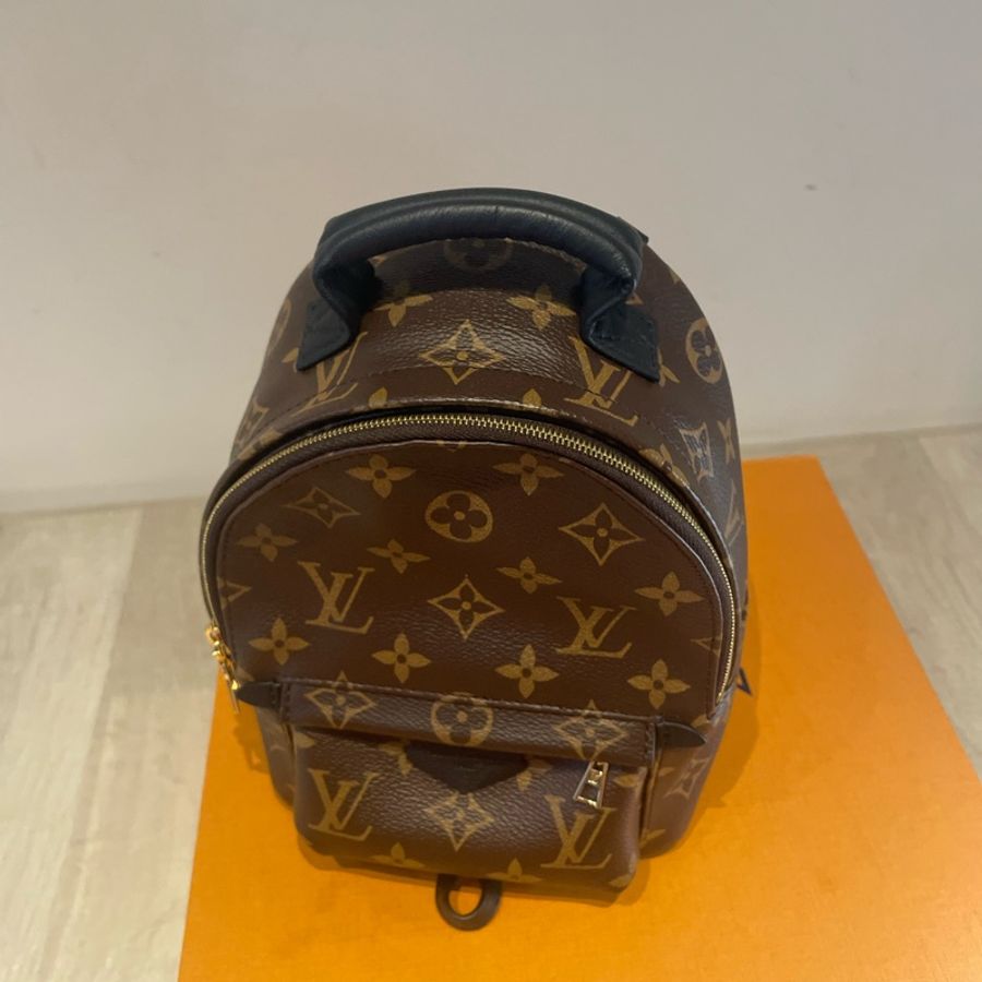 LOUIS VUITTON Palm Springs Mini 小書包-3