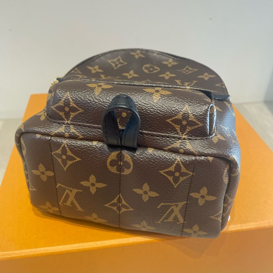 LOUIS VUITTON Palm Springs Mini 小書包-4