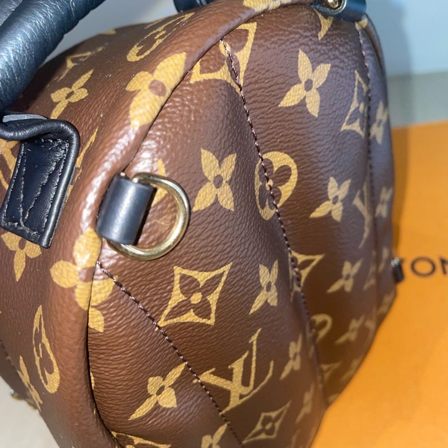 LOUIS VUITTON Palm Springs Mini 小書包-15