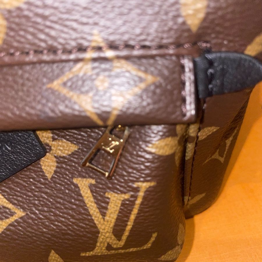 LOUIS VUITTON Palm Springs Mini 小書包-18