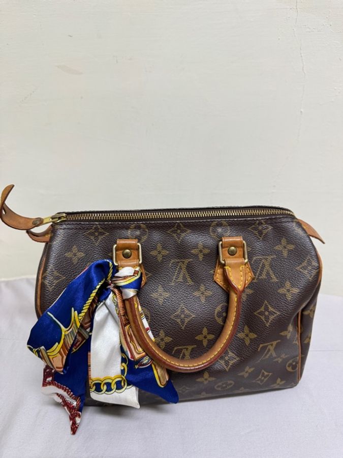 LV 經典老花波士頓手提包Speedy 25-0