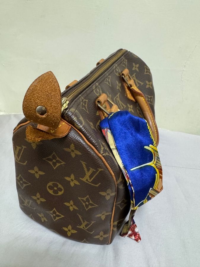 LV 經典老花波士頓手提包Speedy 25-3