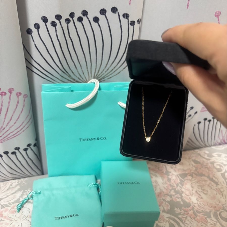 Tiffany & Co. 項鍊-1