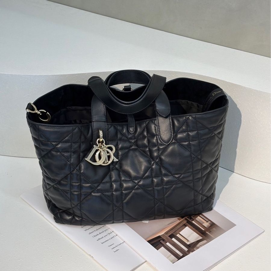 Dior Toujours 黛妃托特包-1
