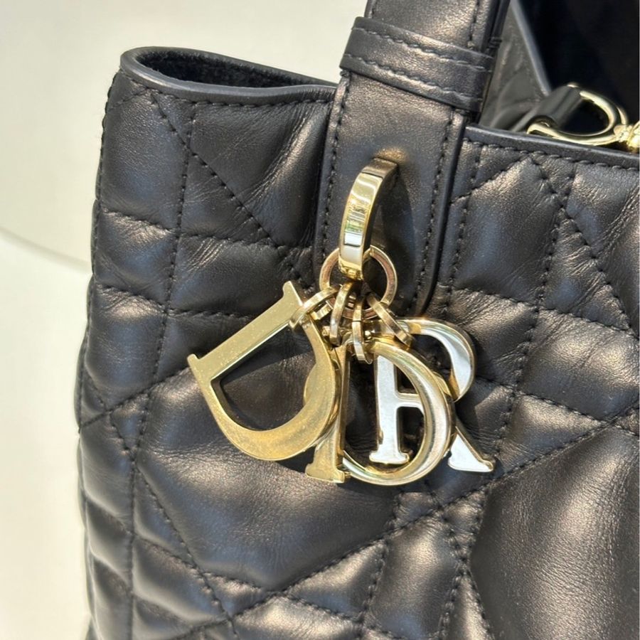 Dior Toujours 黛妃托特包-9