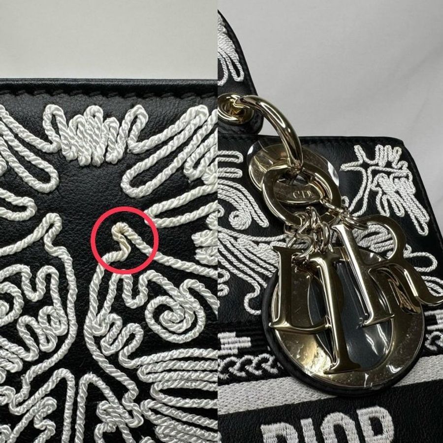 DIOR Lady D-Lite黑白刺繡黛妃包-9