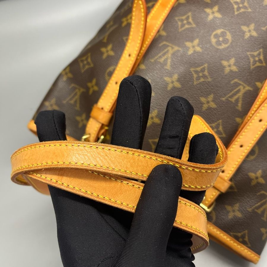 🏷️ Louis Vuitton 老花水桶包-9