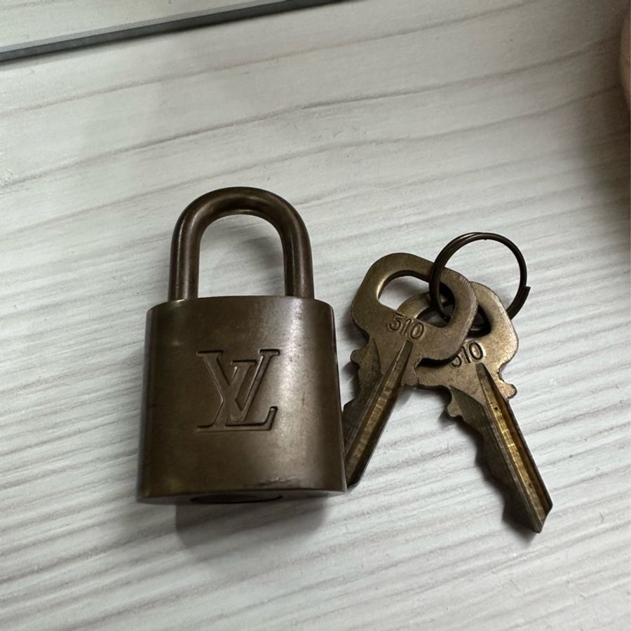 LV Speedy 30經典手提包-9