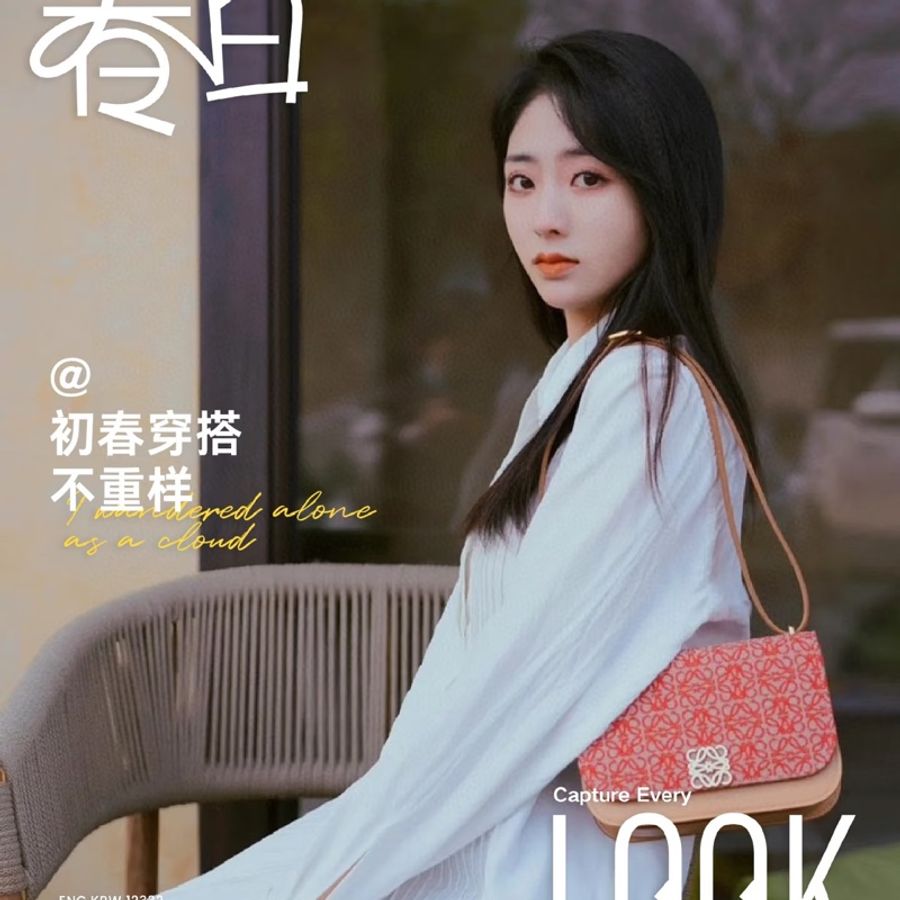 Loewe small Goya小包-5