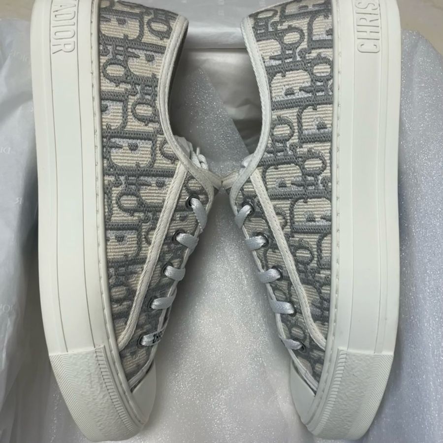 Dior 帆布鞋灰色-1