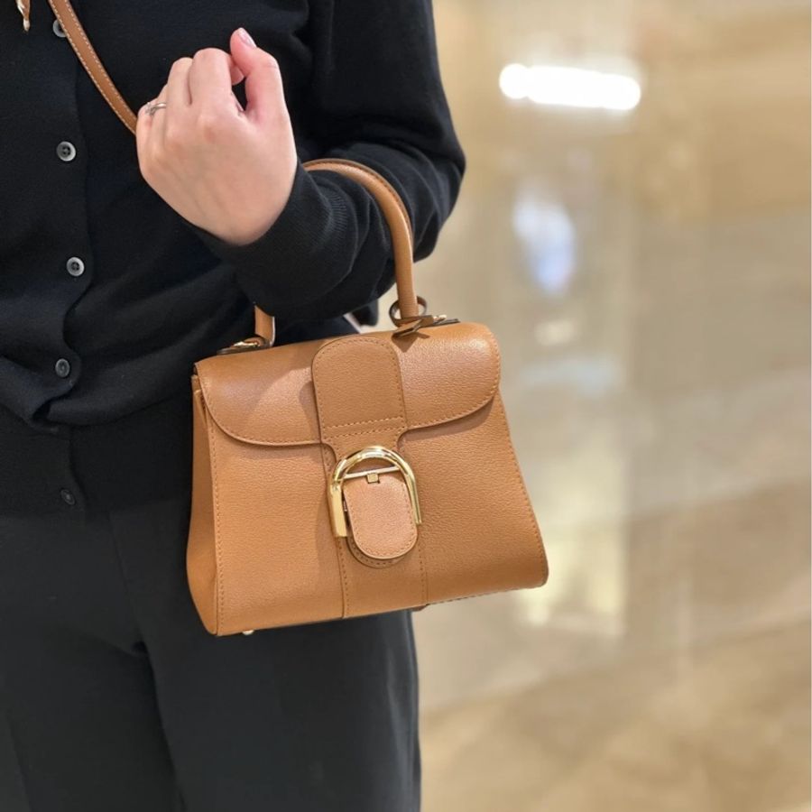 Delvaux Brilliant Mini金棕色🔥9新🔥黃金尺寸🔥-5