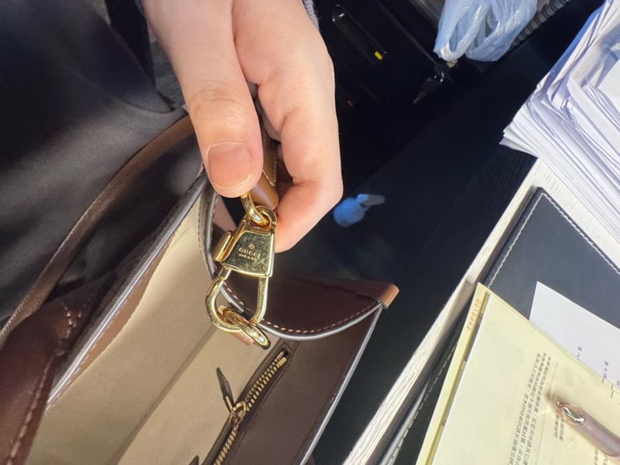Gucci 小型手提袋-17