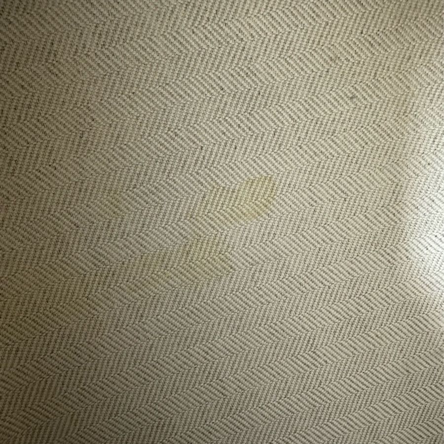 LOEWE 綠色真皮 通勤風流蘇包 單肩包-10