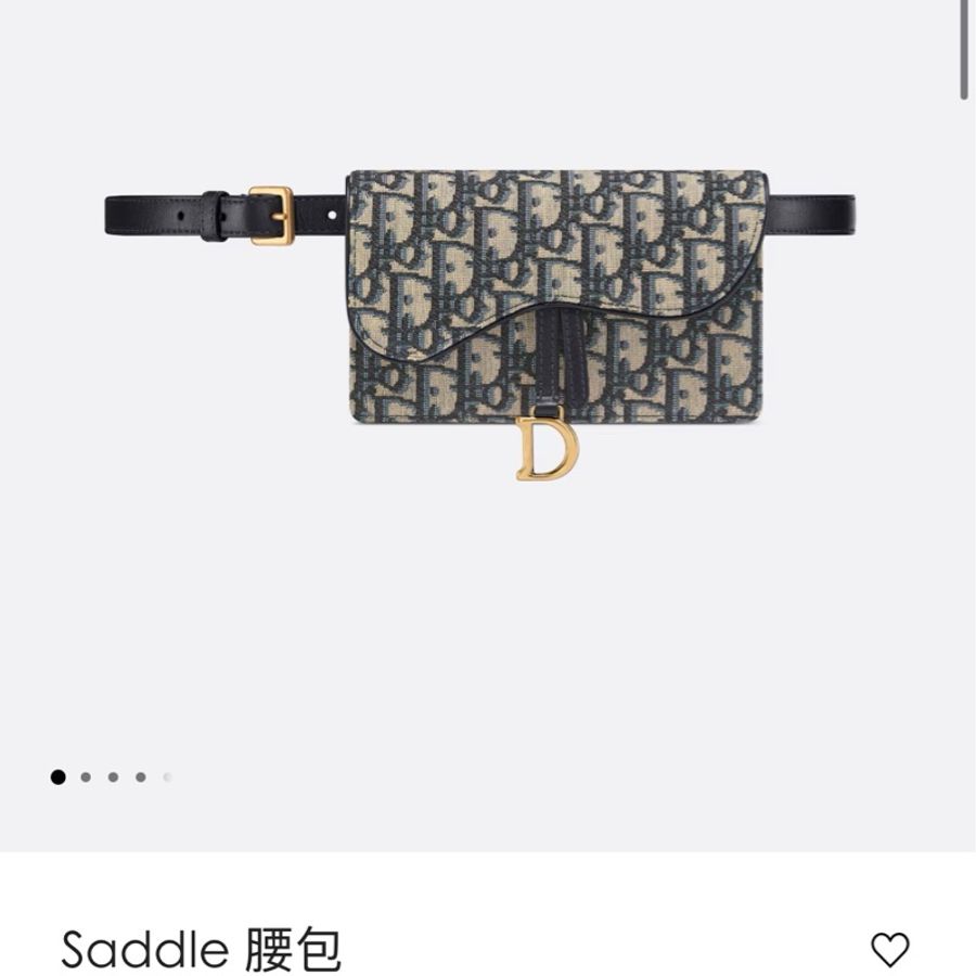 Dior saddle腰包-4