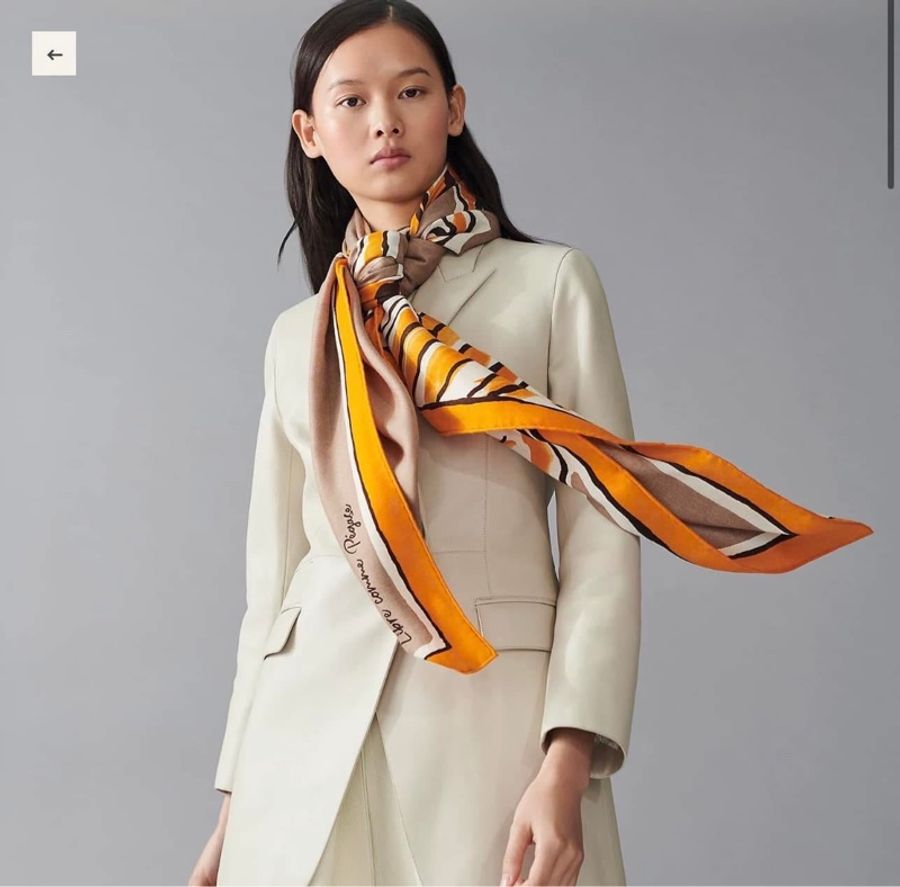 hermes 愛馬仕 羊絨圍巾 自由飛馬 140 羊絨絲巾 掛畫-1