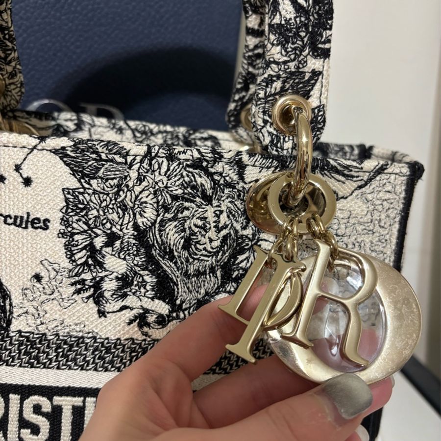 Dior Lady D-Lite 刺繡手袋-11