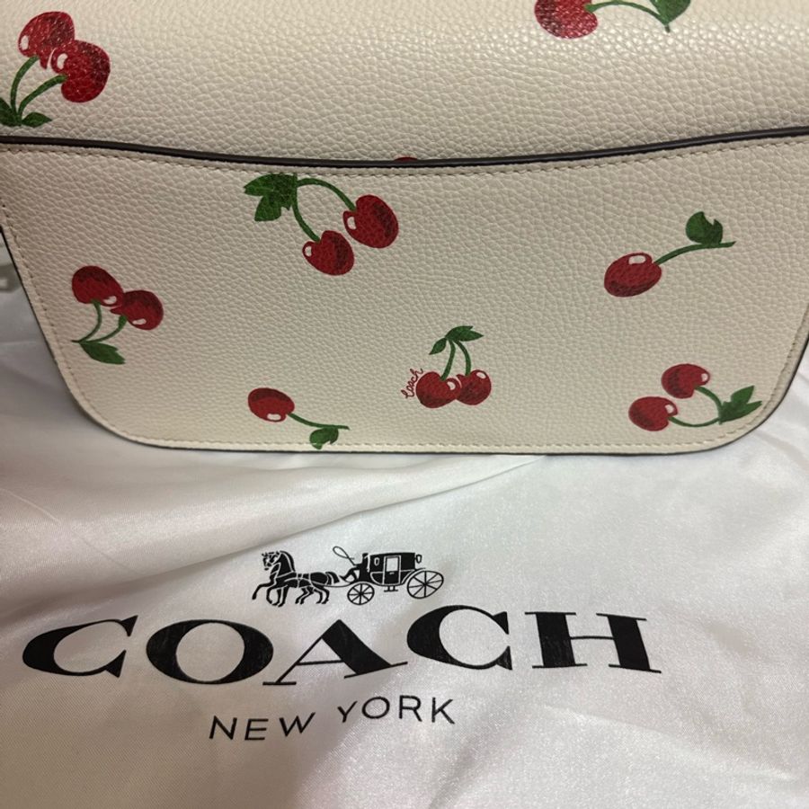coach櫻桃包-1