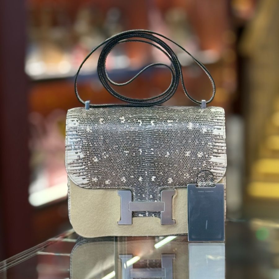 全新constance19原色蜥蜴 銀扣-1