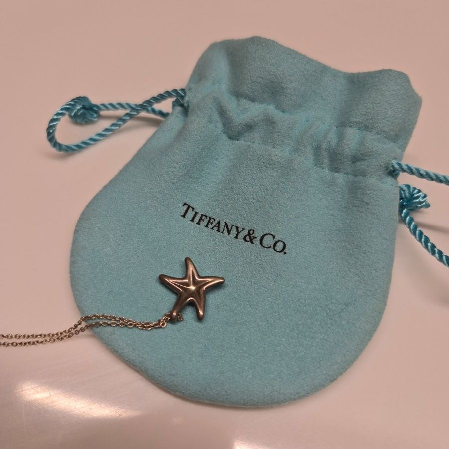 Tiffany &Co純銀925 海星項鍊-0