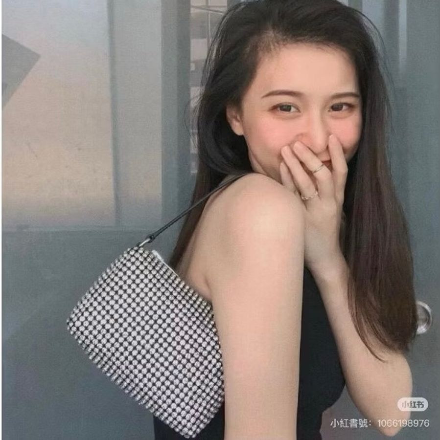 Alexander Wang 亞歷山大王 鑽石 水鑽 滿鑽 手提包 肩背包 腋下包 斜背包 小廢包-3